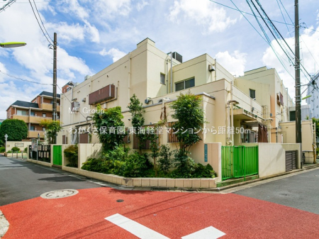 ���ӊ� �c�t���E�ۈ牀 50m �킩�����ۈ牀