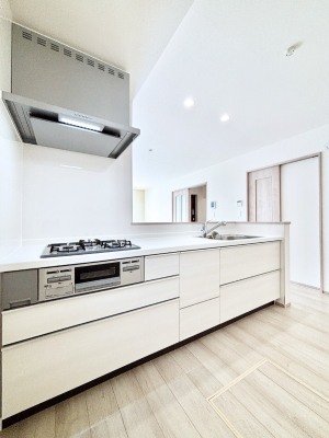 �L�b�`�� �������������I�ɁA�y�����I�V�X�e���L�b�`��  