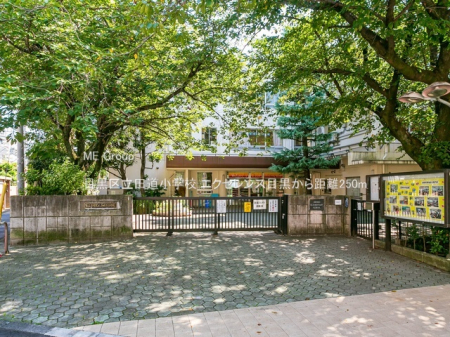 ӊ wZ 250m ڍ旧cwZ