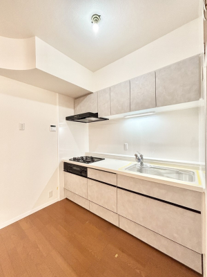 Lb` ̂ŉƑ̏Ί炪L܂I