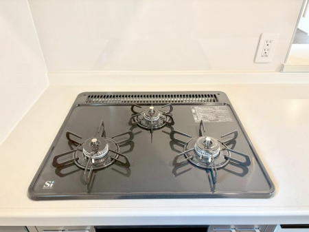 ���̑����� �O���K�X�R�����ł���������C�ɂ͂��ǂ肻���B  