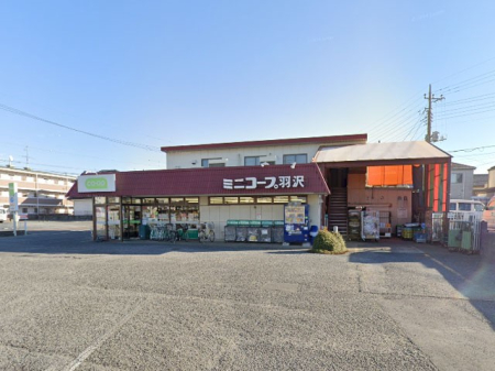 ӊ X[p[ 550m R[v݂炢~jR[vHX