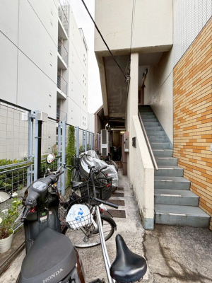 ���̑� ���̑����n