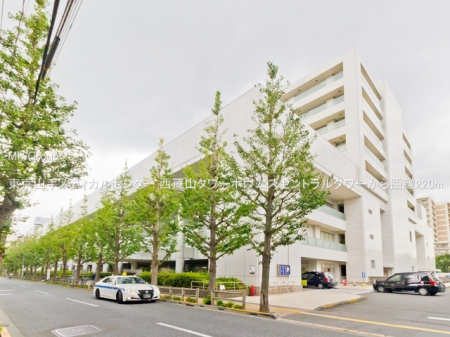 ӊ a@ 220m R胁fBJZ^[