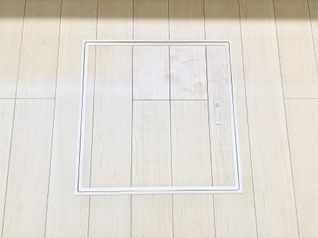 ���̑����� �������[�t���I���p�i�E���p�i�̎��[�ɂ��劈��B