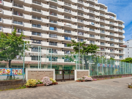 ӊ ctEۈ牀 290m O哇ct