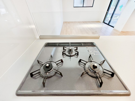 ���̑����� �O���K�X�R�����ł���������C�ɂ͂��ǂ肻���B  