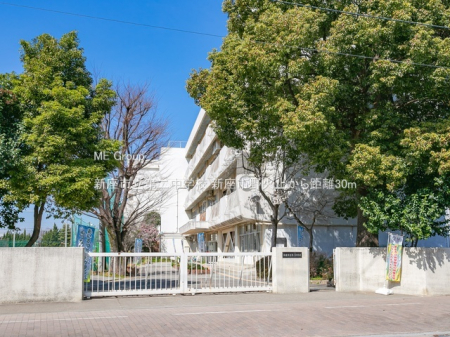 ӊ wZ 30m Vs񒆊wZ