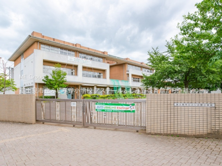 ӊ wZ 590m xmsӂݖ쏬wZ