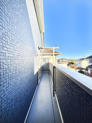 �o���R�j�[ �������o���R�j�[�������R��������̂������܂��B