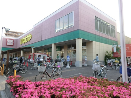 ӊ X[p[ 500m Ȃ₨ԒX