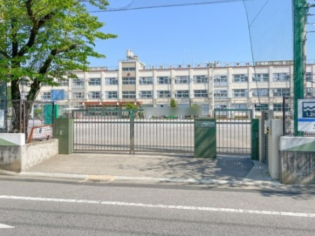 ӊ wZ 300m 旧V񏬊wZ