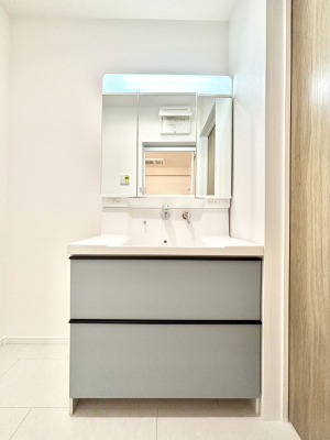 ʑEʏ 傫₷OʋŐʑ́AgȂ݃`FbN┧̂ɂ߂łB 