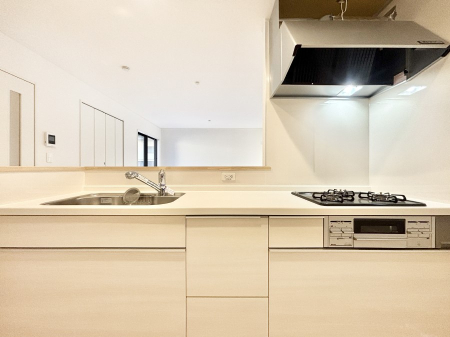 �L�b�`�� �������������I�ɁA�y�����I�V�X�e���L�b�`��  