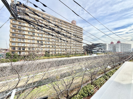 ���̑� �o���R�j�[����̒��]�ł�