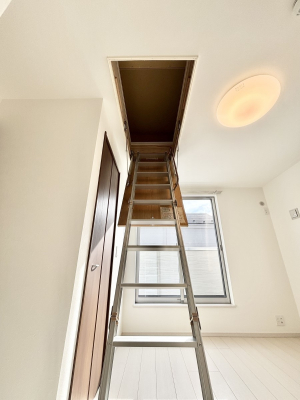 ���̑����� ���������[