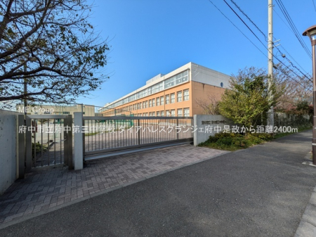 ���ӊ� ���w�Z 2400m �{���s���{����O���w�Z