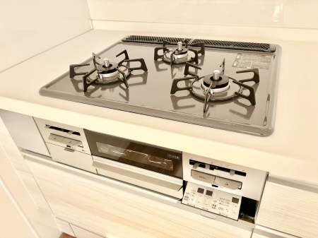 ���̑����� �O���K�X�R�����ł���������C�ɂ͂��ǂ肻���@  