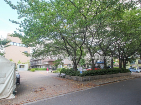 ӊ X[p[ 1100m T~bgXgA 㐅{X