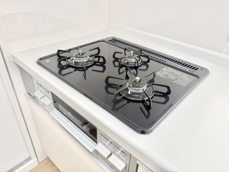 ���̑����� �O���K�X�R�����ł���������C�ɂ͂��ǂ肻��   