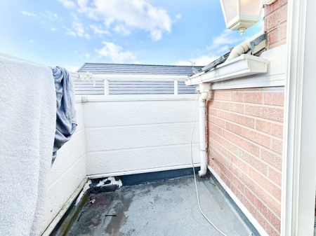 oRj[ ̃oRj[IƑ̐󕨂͂AzcՂ花܂I