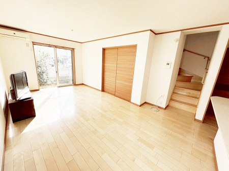 ̑ 傫ȑ炽Ղ̗zƕ郊rO