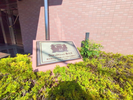 �G���g�����X -