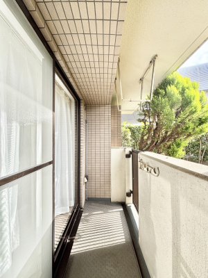 �o���R�j�[ ���ʂ��̗ǂ��o���R�j�[