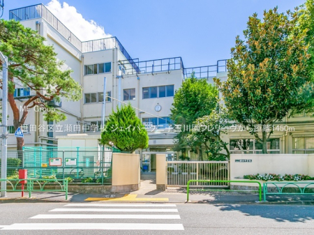 ���ӊ� ���w�Z 1450m ���c�J�旧���c���w�Z