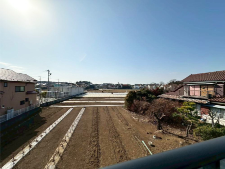 ���̑� �o���R�j�[����̒��]�ł�