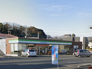 ӊ Rrj 290m t@~[}[g j[^EX