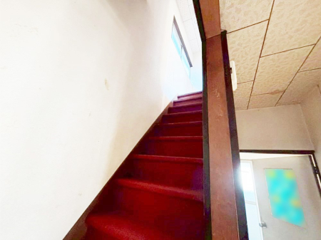 ���̑� �K�i