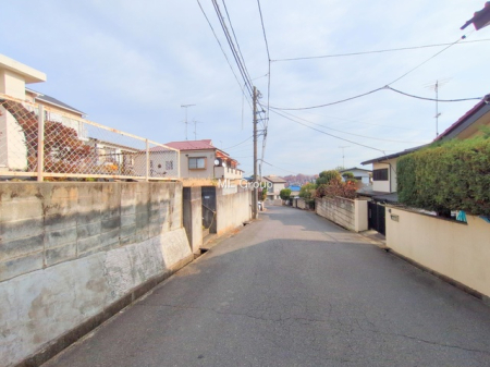 ���n�y�n�ʐ^ -