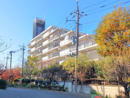 ���n�O�ώʐ^ -