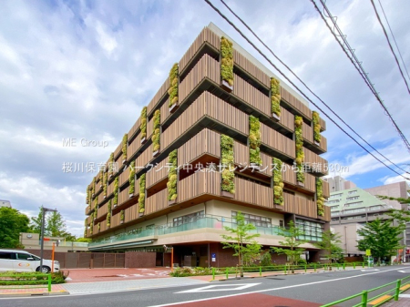 ���ӊ� �c�t���E�ۈ牀 530m ����ۈ牀