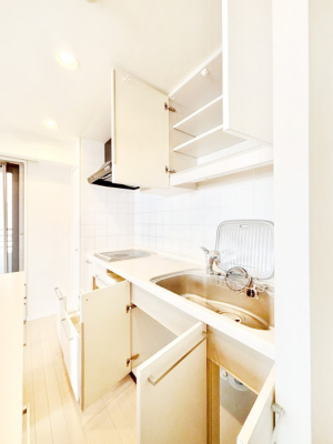 ���̑����� �݌˒I�t���Ȃ̂Ŏ��[�X�y�[�X�������Ղ�I�L�X�Ƃ�����ƃX�y�[�X�ŉƎ������N���N�I