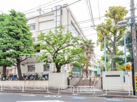 ���ӊ� ���w�Z 390m �]���旧�ї����w�Z