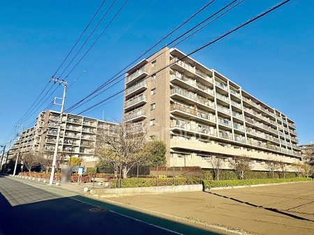 ���n�O�ώʐ^ ��������n�܂�V�����������������܂�