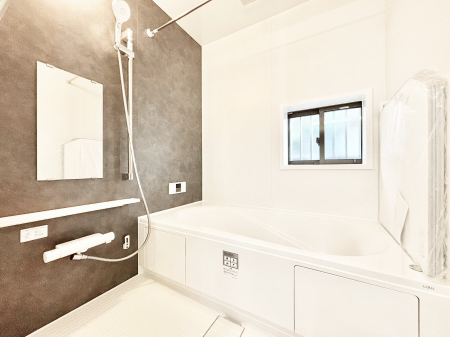 ���� �����������F�����̕ǖʁA������������芰����o�X���[���B