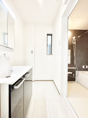 ���̑� �_�炩�Ȓ��̌����������鑋���������ʎ�