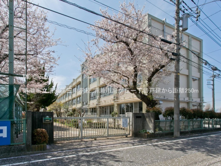 ���ӊ� ���w�Z 250m �����s��������O���w�Z