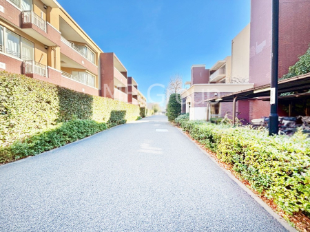 ���n�O�ώʐ^ ��������n�܂�V�����������������܂�