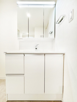 ���ʑ�E���ʏ� �X�^�C�����O�ɕ֗��ȎO�ʋ��A�~���[�L���r�l�b�g�ōׂ������X�b�L��