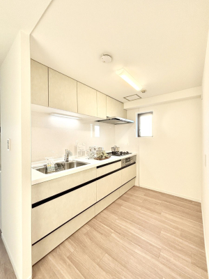 �L�b�`�� ��Ƃ肠��L�b�`���X�y�[�X�ł�������H��̌�Еt�����X���[�Y�ɁI