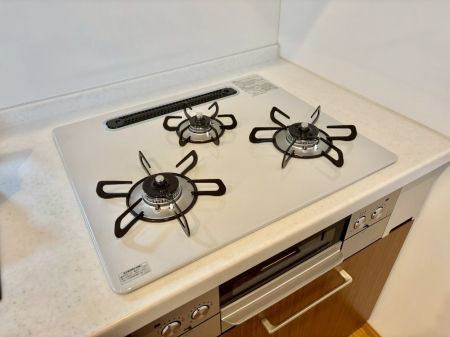 ���̑����� �O���K�X�R�����ł���������C�ɂ͂��ǂ肻��  �@