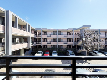 ���̑� �o���R�j�[����̒��]�ł�