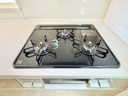 ���̑����� �K�X�R�����͂r���Z���T�[���ځB�Η͒��߂�ł��t���E�����Y����h���ł���܂��B