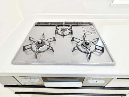 ���̑����� �K�X�R�����͂r���Z���T�[���ځB�Η͒��߂�ł��t���E�����Y����h���ł���܂��B