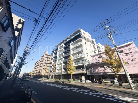 ���n�O�ώʐ^ ��������n�܂�V�����������������܂��I