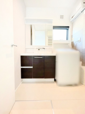 ���ʑ�E���ʏ� �X�^�C�����O�ɕ֗��ȎO�ʋ��A�~���[�L���r�l�b�g�ōׂ������X�b�L��